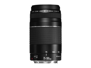 EF 75-300/4,0-5,6 III