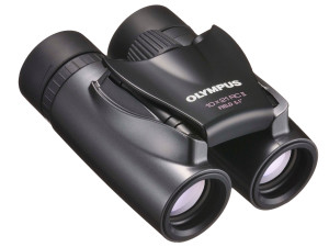 RC II 10X21 DUNKELSILBER M. TA