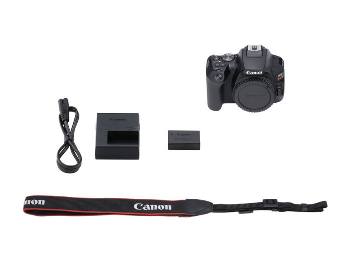 Canon EOS 250D + 18-55 IS + 50/1,8