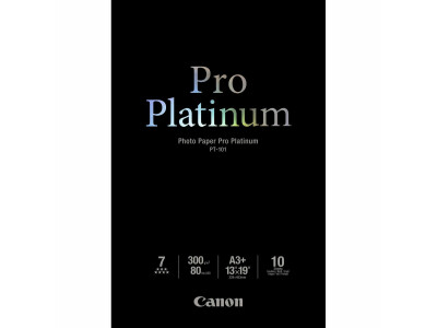 Pt 101 A3+ Platinum 10 Bl.