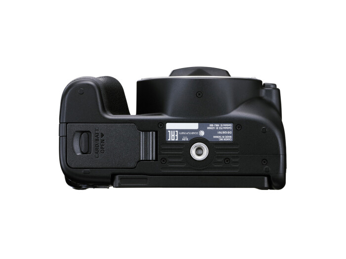 Canon EOS 250D + 18-55 IS + 50/1,8