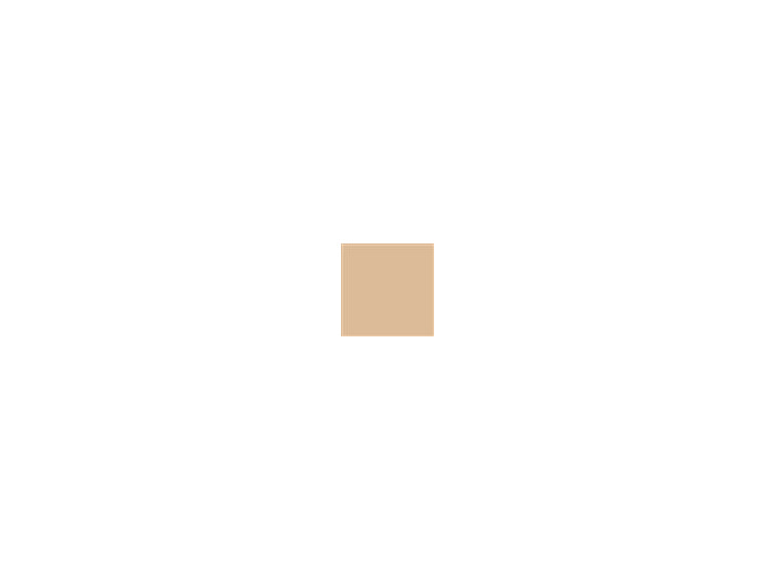 Savage Hintergrundkarton 1,35x11m Beige 145 g/m²