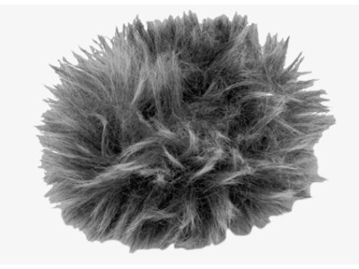 WJ-2 Mikrofon-Windschutz f. LS-P1/P2