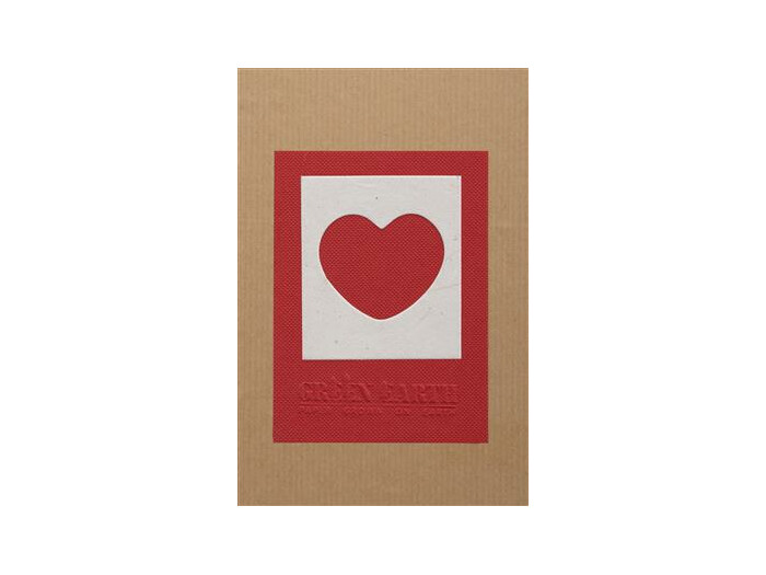 Dörr Fotobox 700 10x15 Earth Herz rot