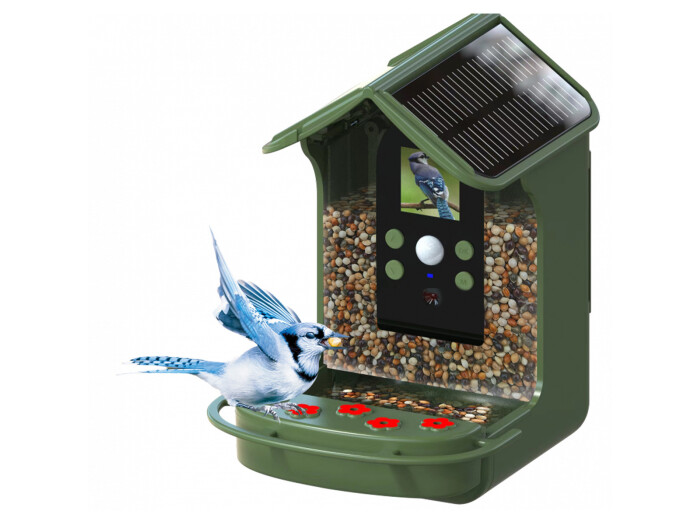 Braun Bird Cam 130 Solar, Wildkamera 