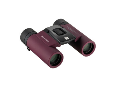 8x25 WP II Fernglas Deep Purple