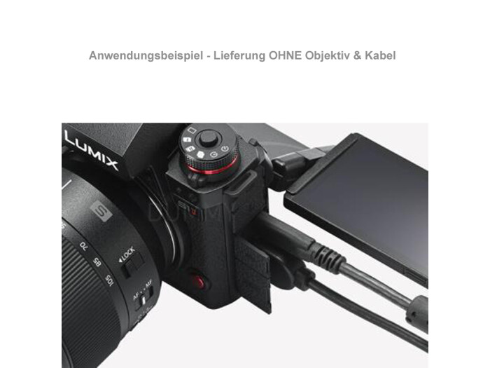 Panasonic Lumix DC-S1 II Gehäuse