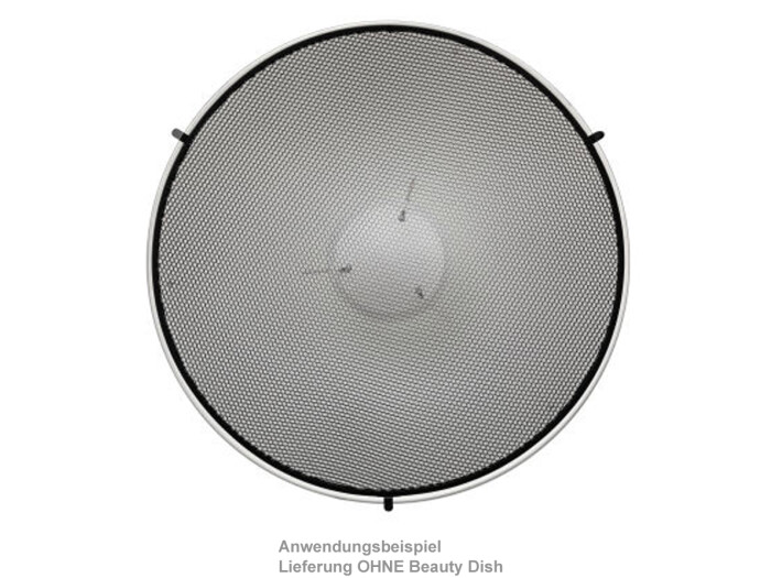 Godox BDR-C420 Grid Softbox 42 cm weiß