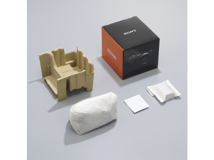 Sony Alpha 6700 + 16-50/3,5-5,6 II PZ OSS,