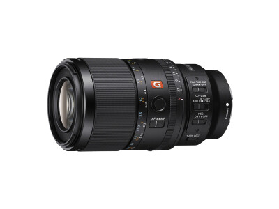 SEL 100/2,8 FE GM OSS Macro