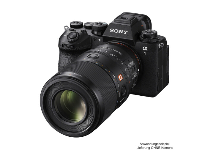 Sony SEL 100/2,8 FE GM OSS Macro