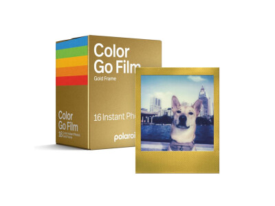 GO Color DP 2x8 Gold Frame Sofortbildfilm