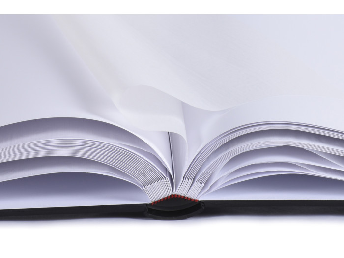 Henzo Album Champagne schwarz