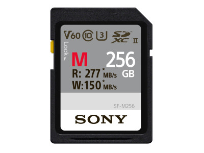 SDXC-Karte 256GB Cl10 UHS-II U3 V60