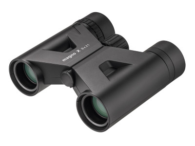 Display Magno X 8x21 mit 6x Magno X 8x21 Fernglas