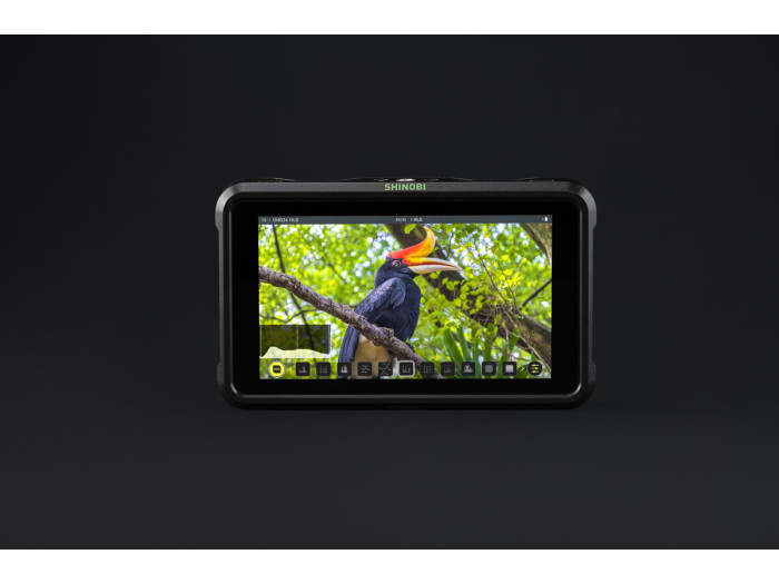 Atomos Shinobi 5" Monitor