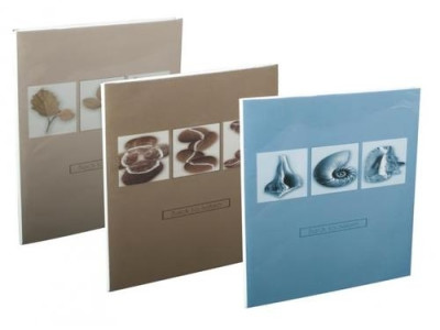 Back To Nature Mini 10x15/24